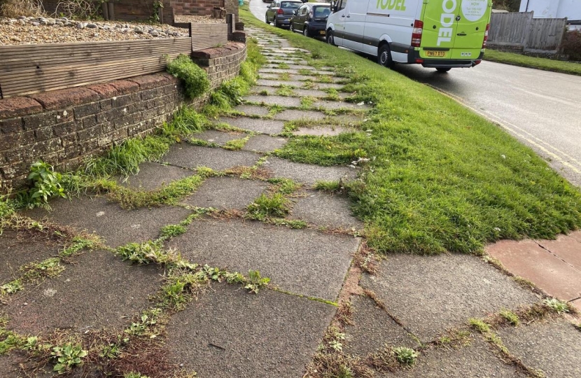Weeds on the pavement in Patcham ward that would be addressed by a de-weeding program if the Conservatives’ City Budget amendments are agreed to.
