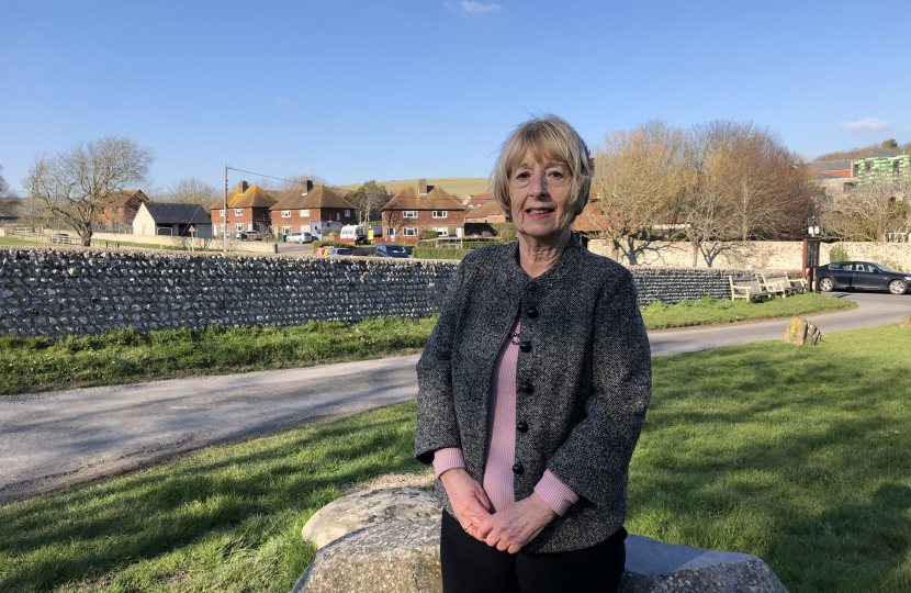 Conservative Candidate for the Rottingdean Coastal by-election Lynda Hyde