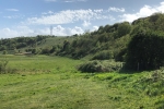Whitehawk Hill is one of the 16 urban fringe sites under threat